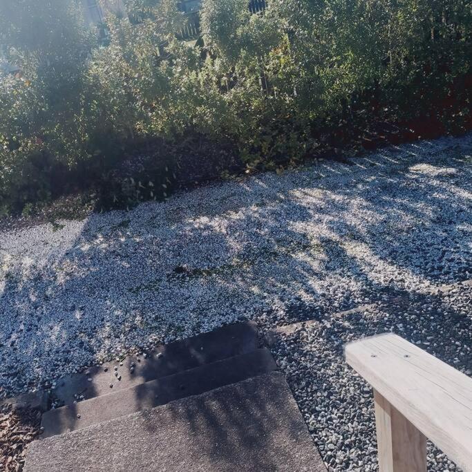 Cozycottage Kaikoura Dış mekan fotoğraf